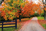 Essential Estate Planning Documents